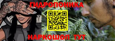 бошки Гулькевичи