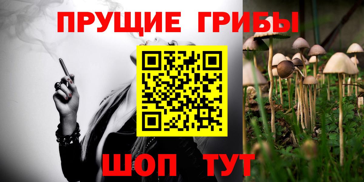 Галлюциногенные грибы Psilocybine cubensis  Псилоцибиновые грибы Magic Shrooms  Сарапул  Вход с VPN 